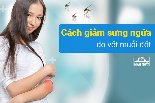 Tổng hợp các cách giảm sưng ngứa do vết muỗi đốt nhanh chóng và an toàn