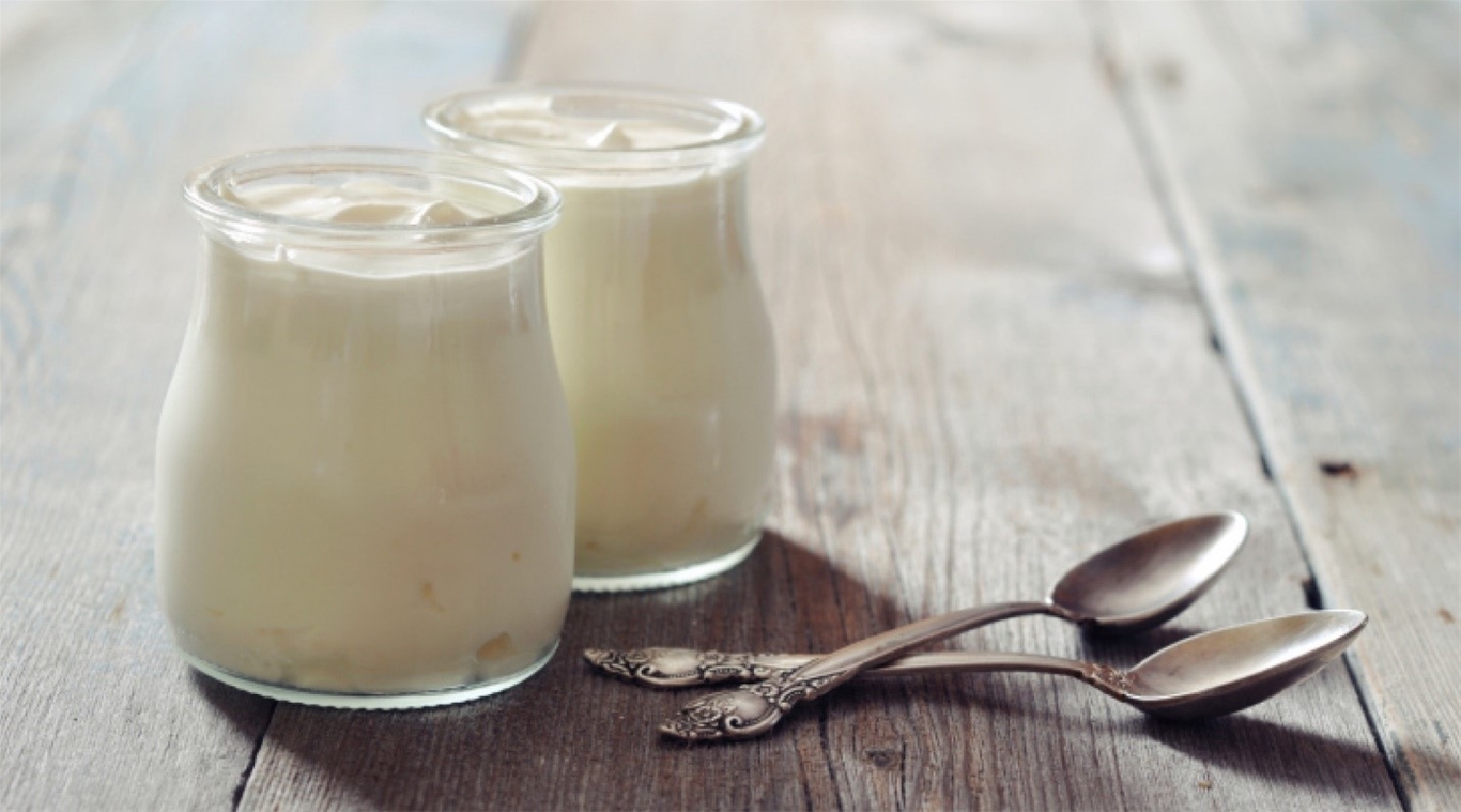 Sữa chua bổ sung lợi khuẩn giúp điều hòa hoạt động co bóp đường ruột