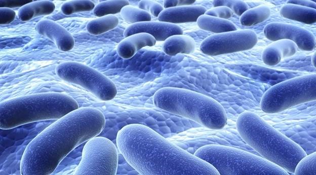 Bổ sung men vi sinh dạng bào tử lợi khuẩn giúp giảm tiêu chảy do kháng sinh