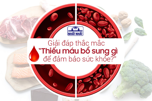 Giải đáp thắc mắc “Thiếu máu bổ sung gì để đảm bảo sức khỏe?”