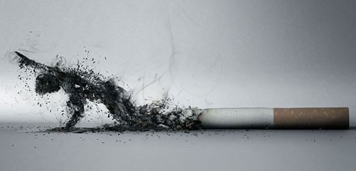 Theo WHO, thuốc lá giết chết 3 triệu sinh mạng mỗi năm.
