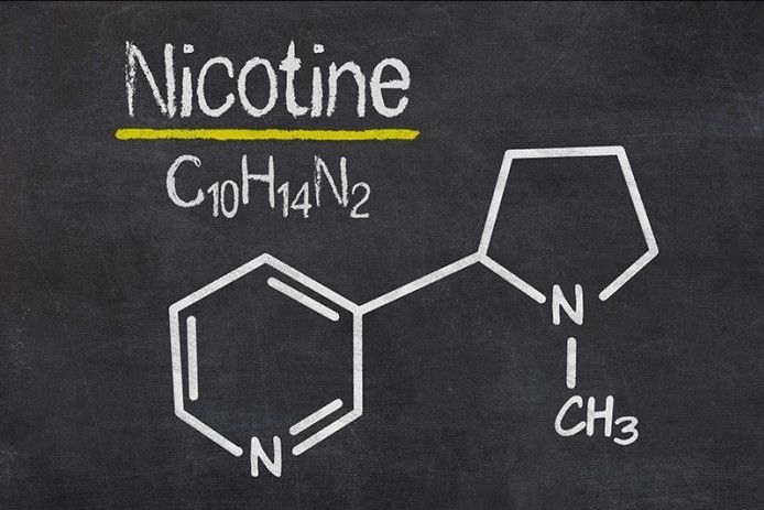 Ảnh: Nicotin là một thành phần độc hại có trong thuốc lá