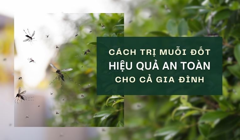 Cách trị muỗi đốt hiệu quả, an toàn cho cả gia đình