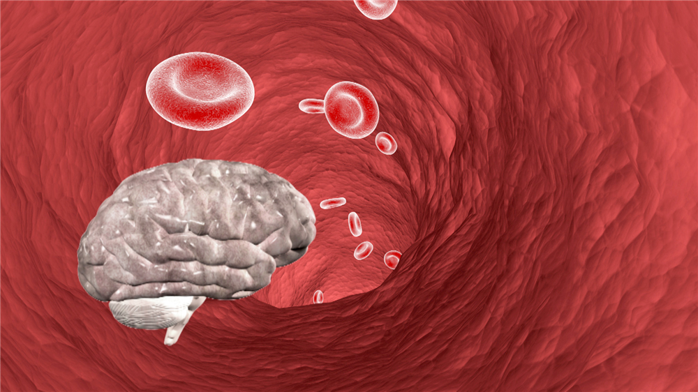 BÀI THUỐC HOẠT HUYẾT ĐÔNG Y THẾ HỆ 2 HIỆU QUẢ VƯỢT TRỘI TRỊ bệnh MẤT NGỦ, ĐAU ĐẦU, CHÓNG MẶT, GIẢM TRÍ NHỚ