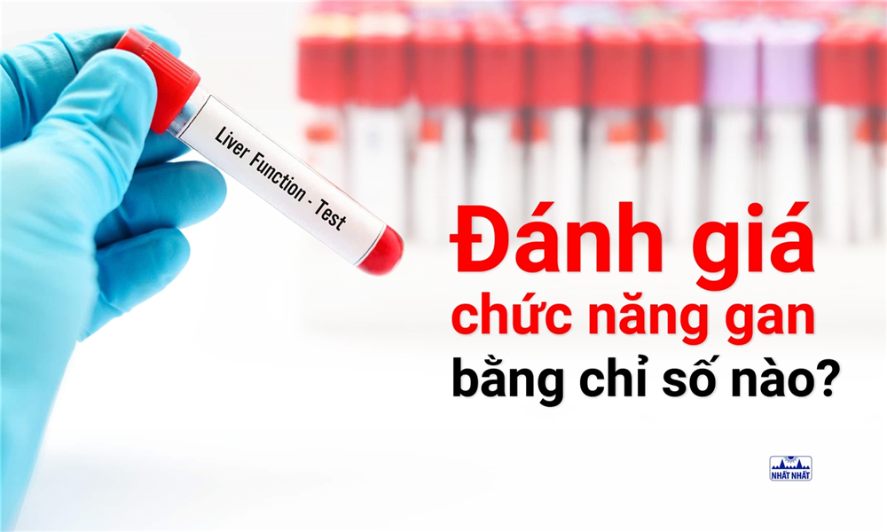 Đánh giá chức năng gan bằng các xét nghiệm nào?