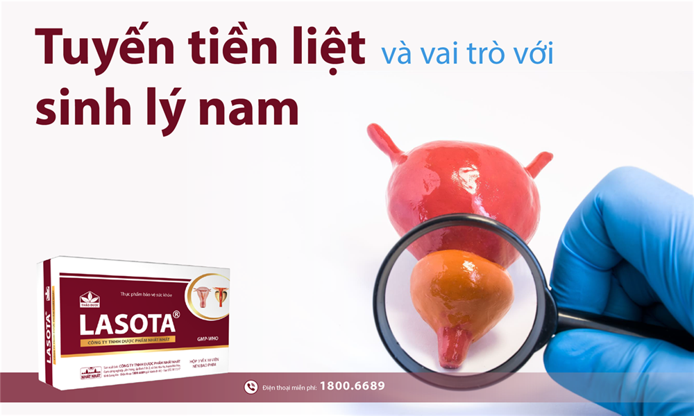 Tuyến tiền liệt và vai trò với sinh lý nam