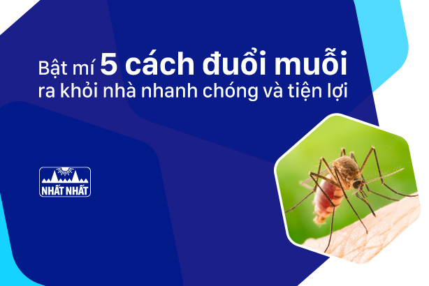 Bật mí 5 cách đuổi muỗi ra khỏi nhà nhanh chóng và tiện lợi