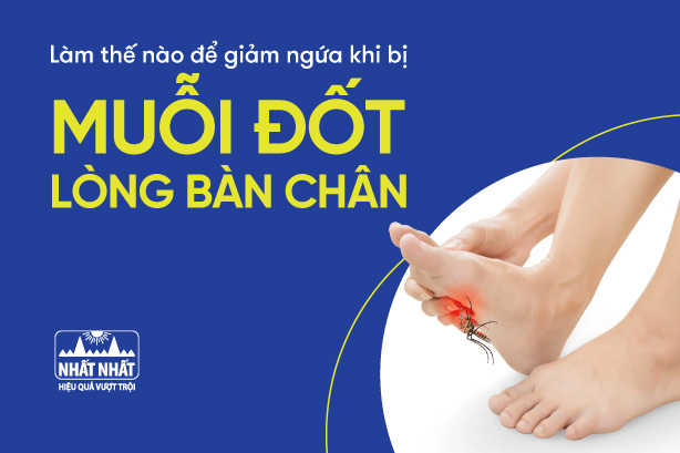 Làm thế nào để giảm ngứa khi bị muỗi đốt lòng bàn chân?