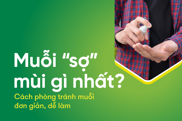 Muỗi “sợ” mùi gì nhất? Cách phòng tránh muỗi đơn giản, dễ làm