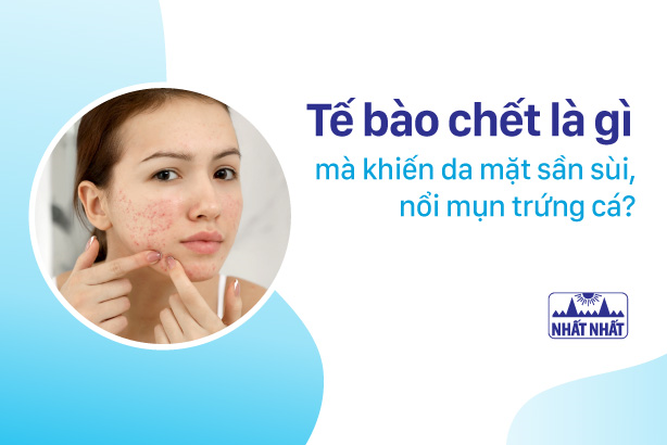 Tế bào chết là gì mà khiến da mặt sần sùi, nổi mụn trứng cá?