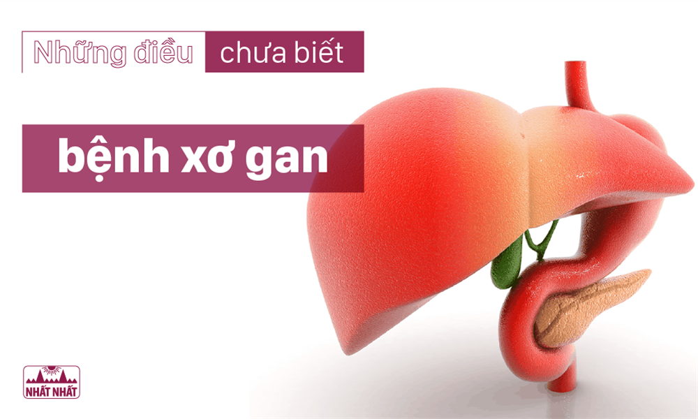 Những điều chưa biết về các giai đoạn của bệnh xơ gan