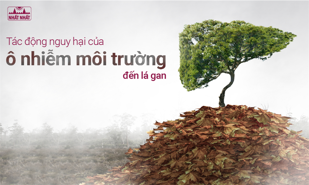 Tác động nguy hại của ô nhiễm môi trường đến lá gan
