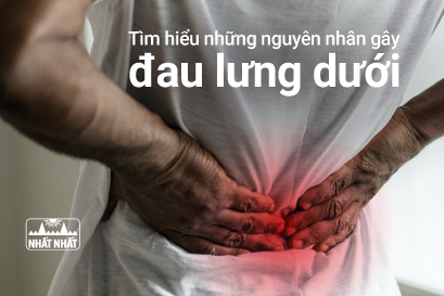 Tìm hiểu những nguyên nhân gây đau lưng dưới