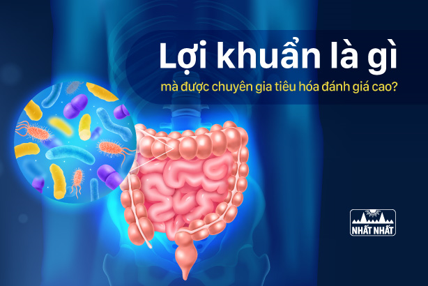 Lợi khuẩn là gì mà được chuyên gia tiêu hóa đánh giá cao?