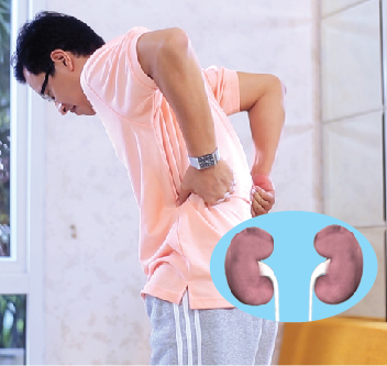BÀI THUỐC BỔ THẬN DƯƠNG ĐÔNG Y THẾ HỆ 2 THẦN DIỆU TRỊ tiểu nhiều lần, tiểu đêm, đau mỏi lưng gối, sinh lý yếu