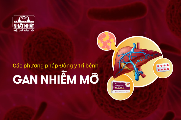 Các phương pháp Đông y trị bệnh gan nhiễm mỡ hiệu quả