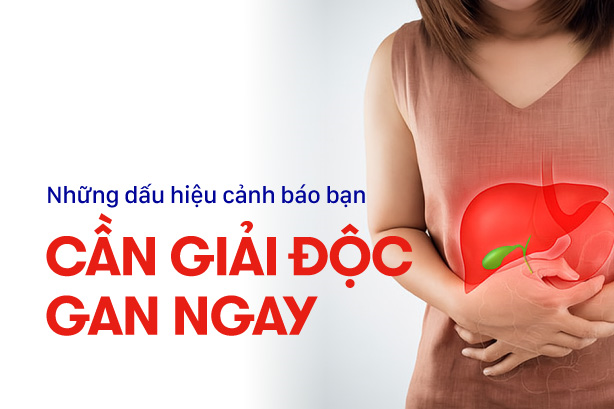 Những dấu hiệu cảnh báo bạn cần giải độc gan ngay