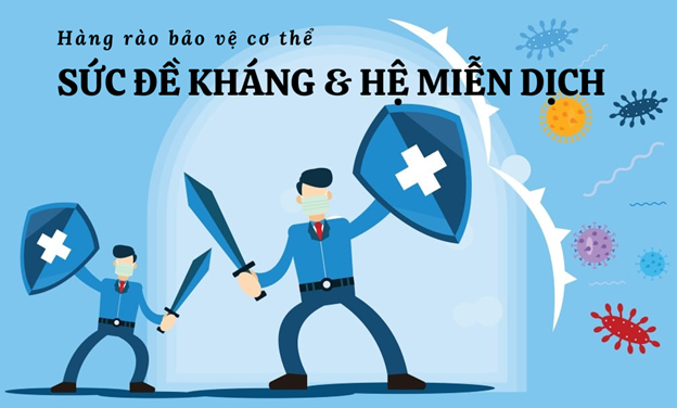 Cách tăng sức đề kháng và hệ miễn dịch: Hàng rào bảo vệ cơ thể