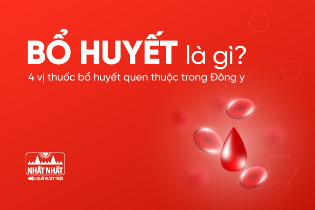 Bổ huyết là gì? 4 vị thuốc bổ huyết quen thuộc trong Đông y