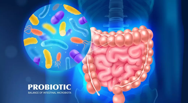 Probiotics là gì? Lợi ích của việc bổ sung lợi khuẩn