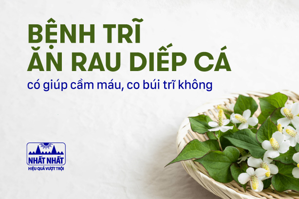 Bệnh trĩ ăn rau diếp cá có giúp cầm máu, co búi trĩ không?