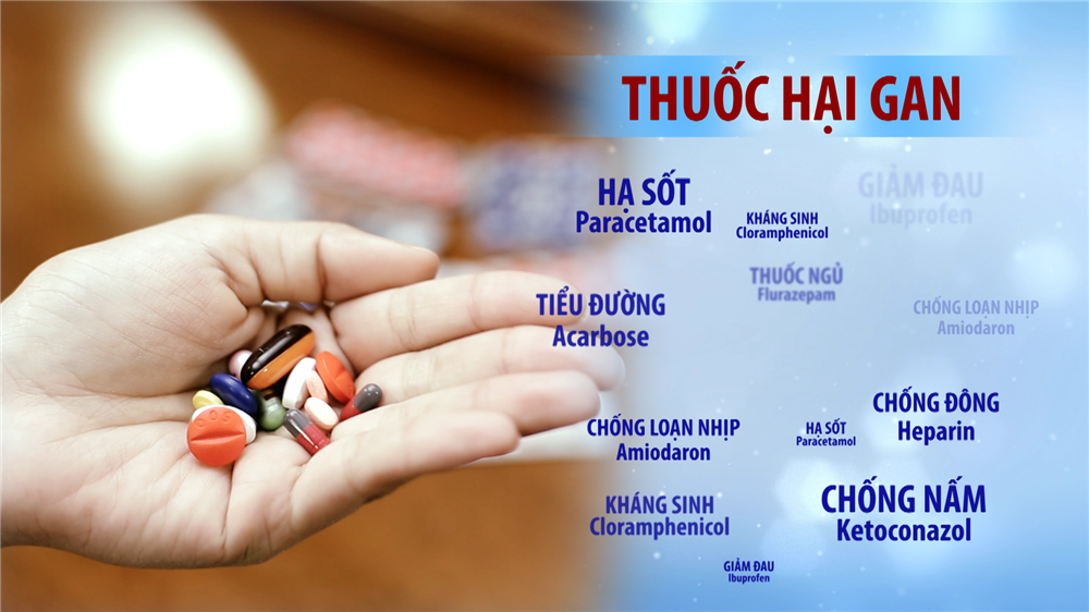 Điều trị nhiếm độc gan, viêm gan do thuốc tây bằng bài thuốc bổ gan tiêu độc Đông y thế hệ 2, hiệu quả vượt trội