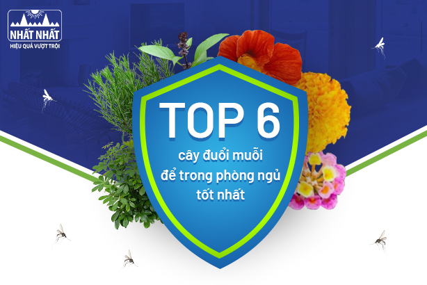 Top 6 cây đuổi muỗi để trong phòng ngủ tốt nhất
