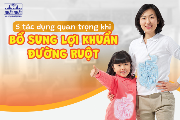 5 tác dụng quan trọng khi bổ sung lợi khuẩn đường ruột