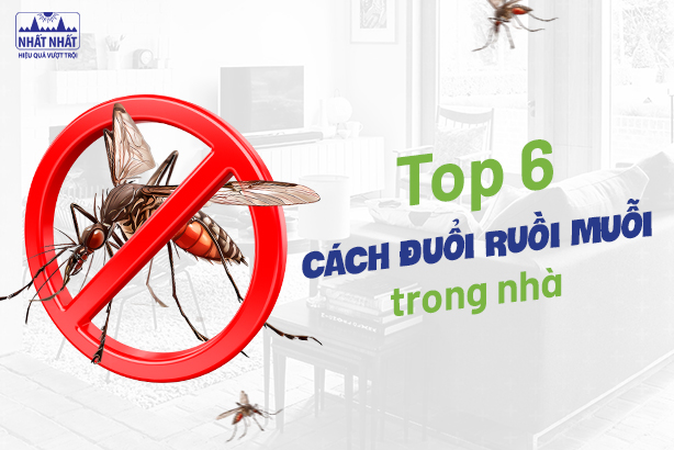 Top 6 cách đuổi ruồi muỗi trong nhà – ai cũng nên biết!