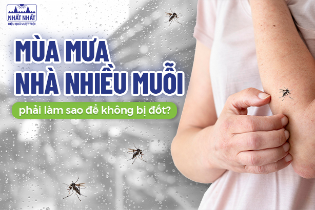 Mùa mưa nhà nhiều muỗi phải làm sao để không bị đốt?