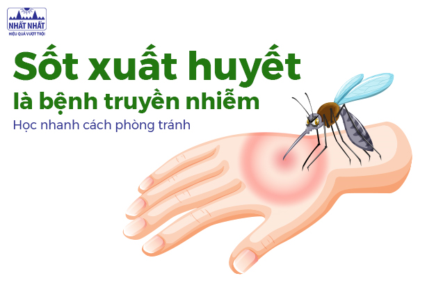 Sốt xuất huyết là bệnh truyền nhiễm: Học nhanh cách phòng tránh