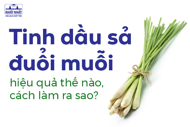 Tinh dầu sả đuổi muỗi hiệu quả thế nào, cách làm ra sao?