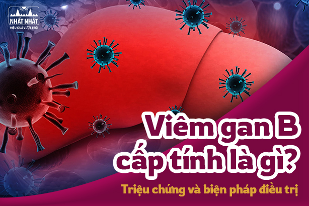 Viêm gan B cấp tính là gì? Triệu chứng và biện pháp điều trị bệnh