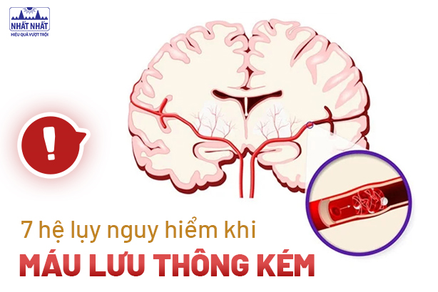 7 hệ lụy nguy hiểm khi máu lưu thông kém