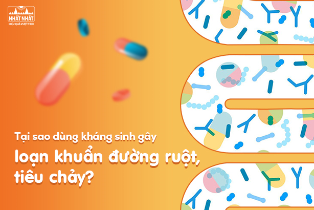 Tại sao dùng kháng sinh gây loạn khuẩn đường ruột, tiêu chảy?