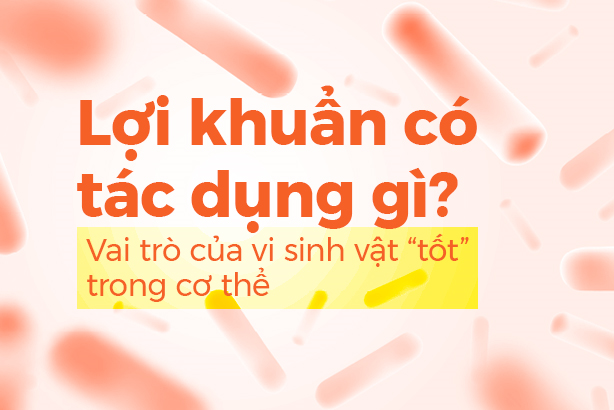 Lợi khuẩn có tác dụng gì? Vai trò của vi sinh vật “tốt” trong cơ thể