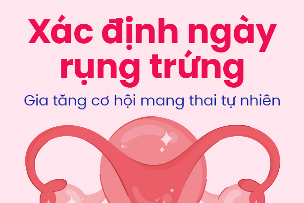 Xác định ngày rụng trứng – Gia tăng cơ hội mang thai tự nhiên