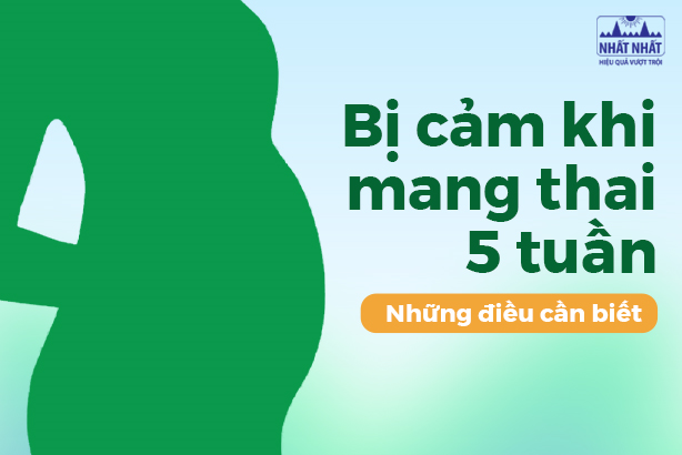 Bị cảm khi mang thai 5 tuần: Những điều cần biết