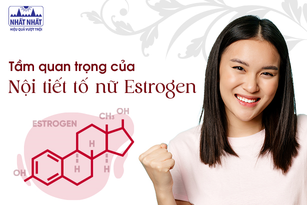 Tầm quan trọng của nội tiết tố estrogen với sức khỏe, sinh lý nữ  