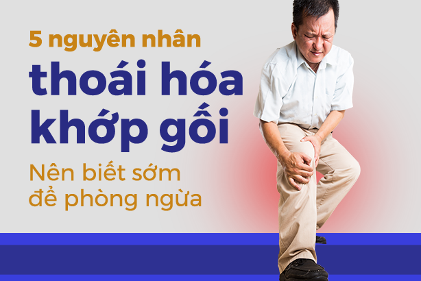 5 nguyên nhân thoái hóa khớp gối: Nên biết sớm để phòng ngừa