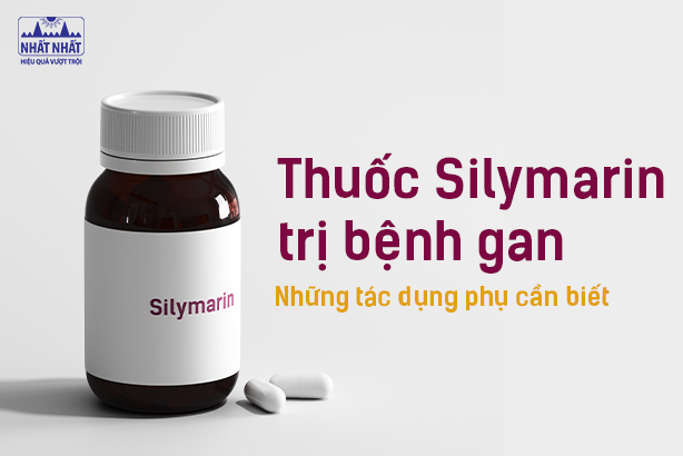 Thuốc Silymarin trị bệnh gan: Những tác dụng phụ cần biết