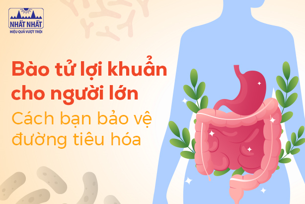 Bào tử lợi khuẩn cho người lớn: Cách bạn bảo vệ đường tiêu hóa