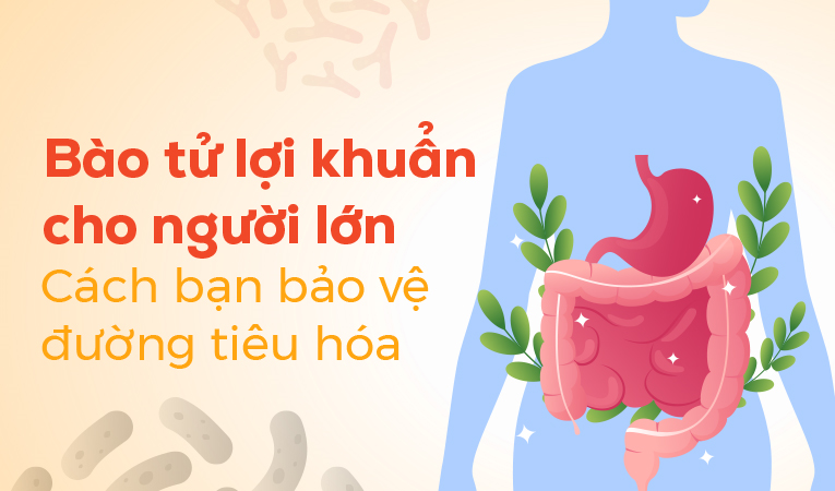 Bào tử lợi khuẩn cho người lớn: Cách bạn bảo vệ đường tiêu hóa