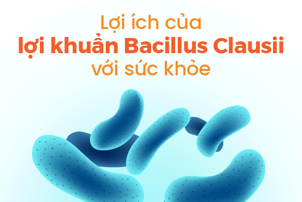 Lợi ích của lợi khuẩn Bacillus Clausii với sức khỏe