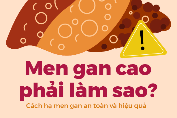 Men gan cao phải làm sao? Cách hạ men gan an toàn và hiệu quả