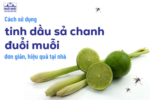 Cách sử dụng tinh dầu sả chanh đuổi muỗi đơn giản, hiệu quả tại nhà