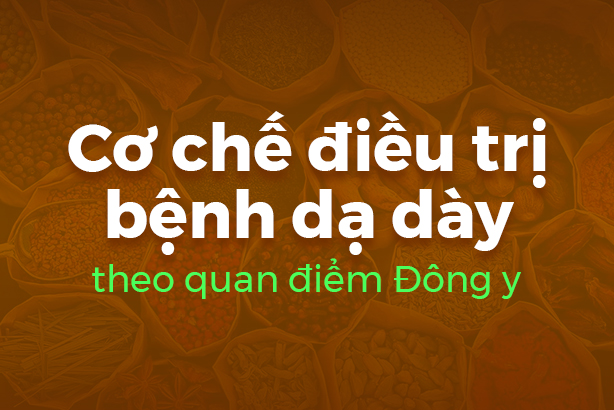 Cơ chế điều trị bệnh dạ dày theo quan điểm Đông y