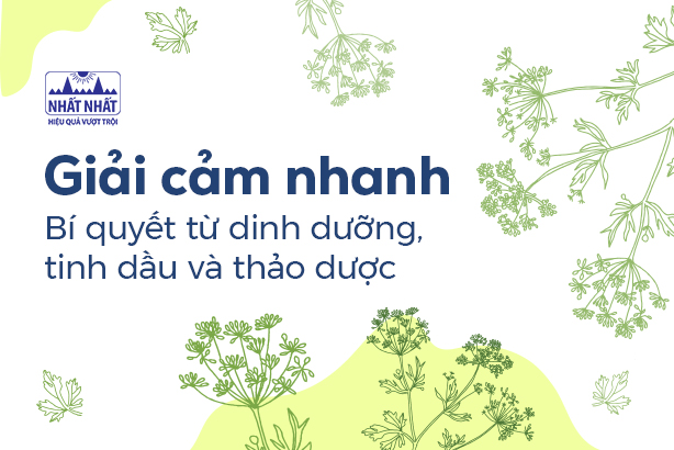 Giải cảm nhanh: Bí quyết từ dinh dưỡng, tinh dầu và thảo dược