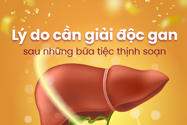 Lý do cần giải độc gan sau những bữa tiệc thịnh soạn
