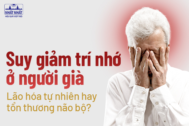 Suy giảm trí nhớ ở người già: Lão hóa tự nhiên hay tổn thương não bộ? 